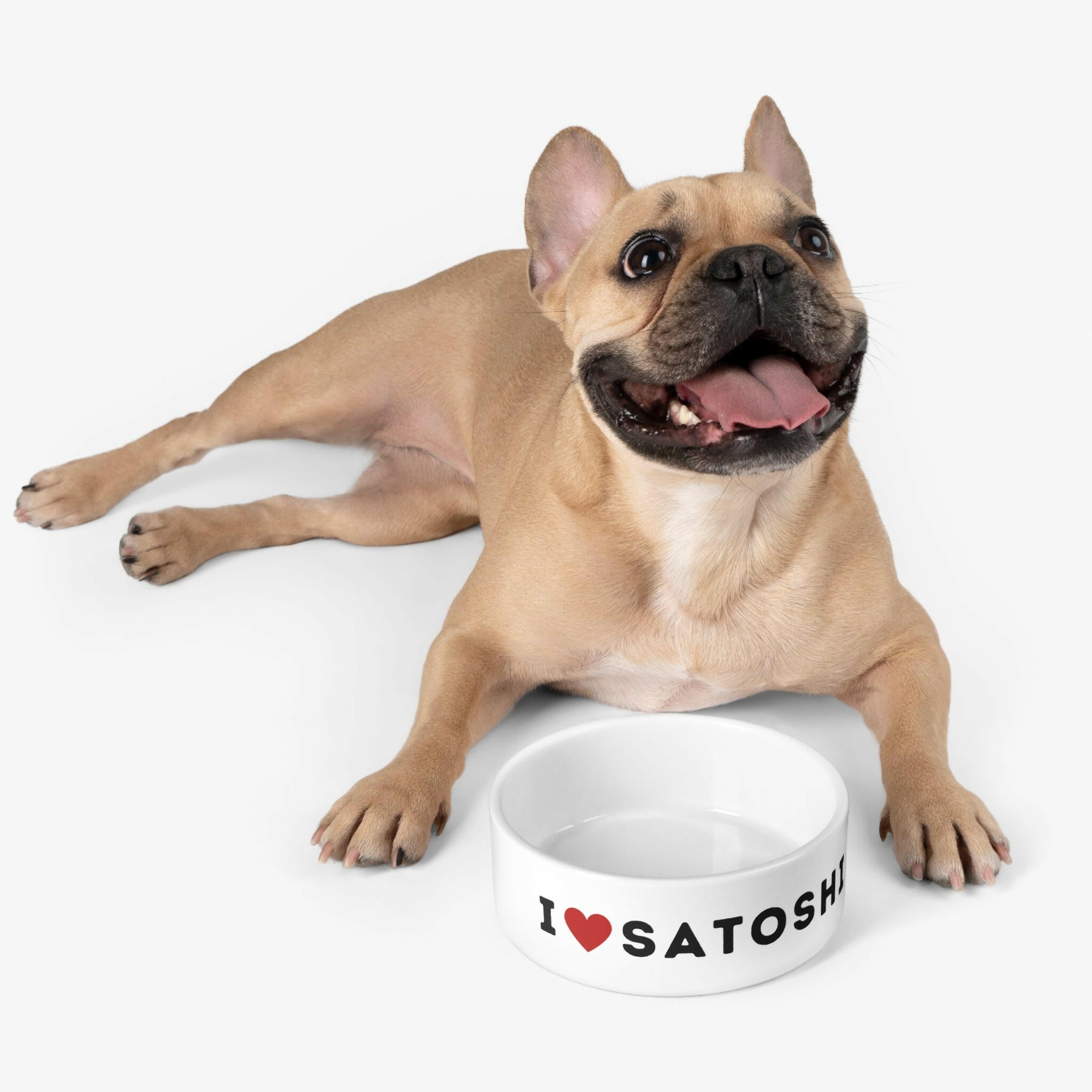 I HEART Satoshi / Pet Bowl - Maison Toshi - The Orange Habit