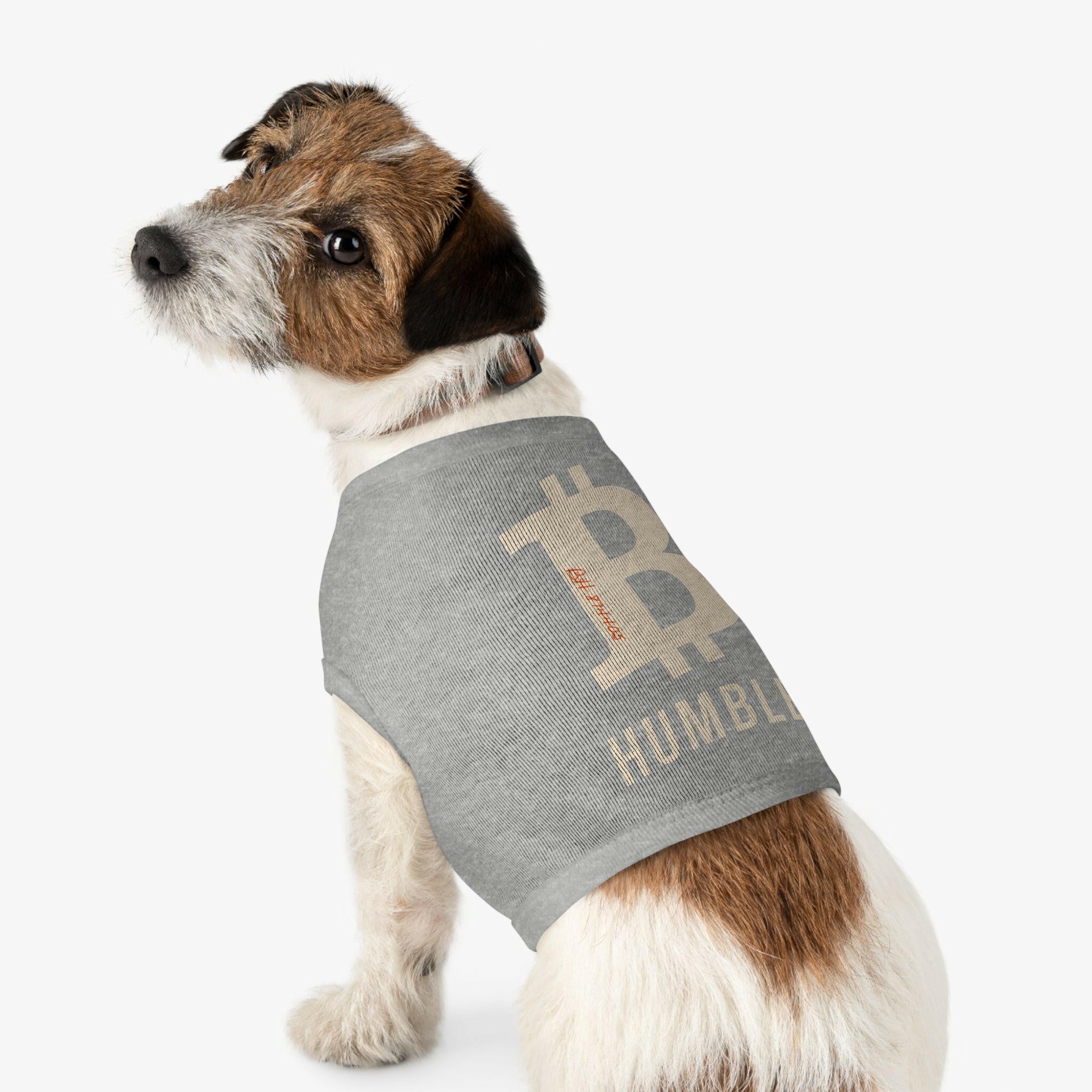 B Humble / Pet Bitcoin Tank Top - Maison Toshi - The Orange Habit