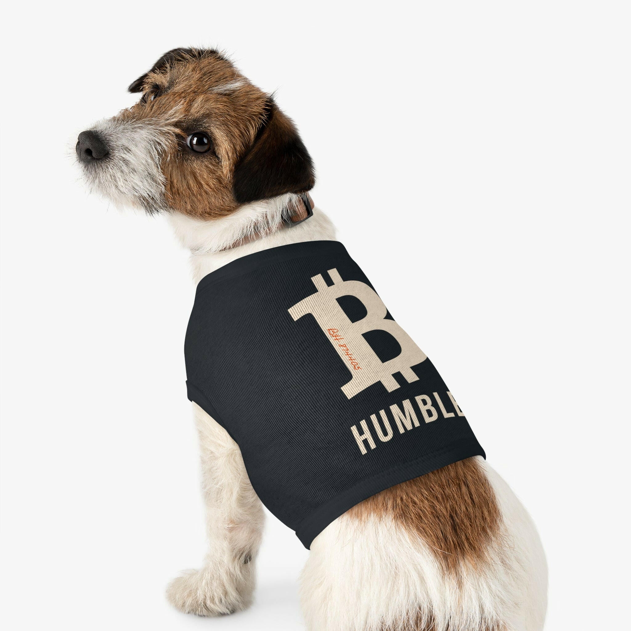 B Humble / Pet Bitcoin Tank Top - Maison Toshi - The Orange Habit