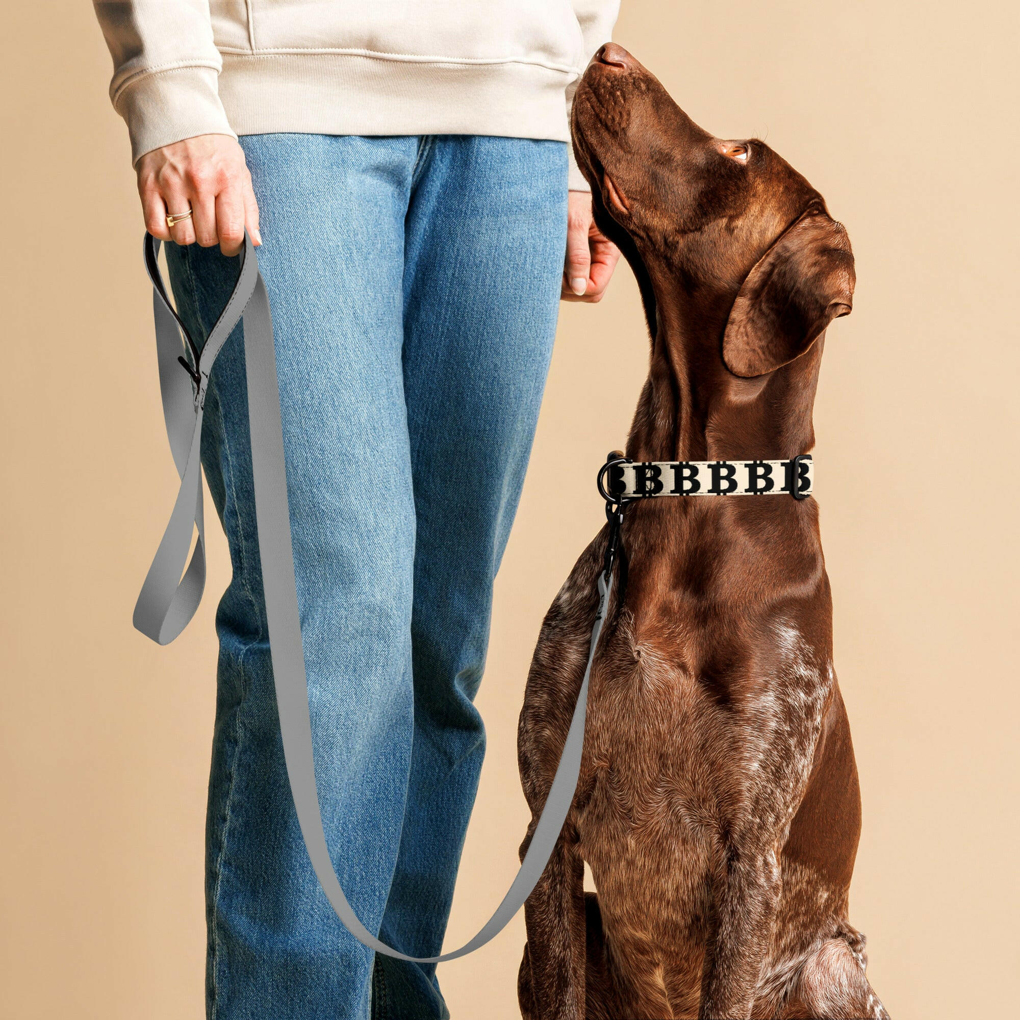 Bitcoin Pet Collar / The B - Maison Toshi - The Orange Habit