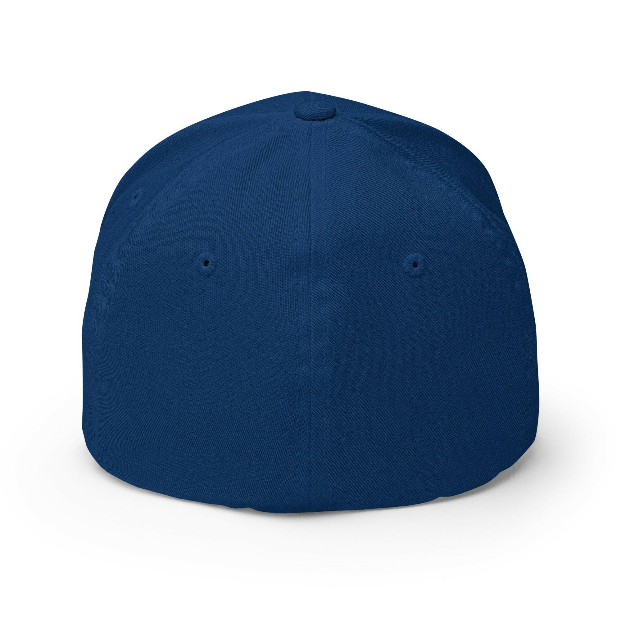 SATOSHI SMILES / Fitted Bitcoin Hat - SVRN_T Hats - The Orange Habit