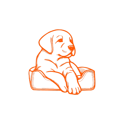 Shop Bitcoin Pet Merch  | The Orange Habit Bitcoin Home Decor
