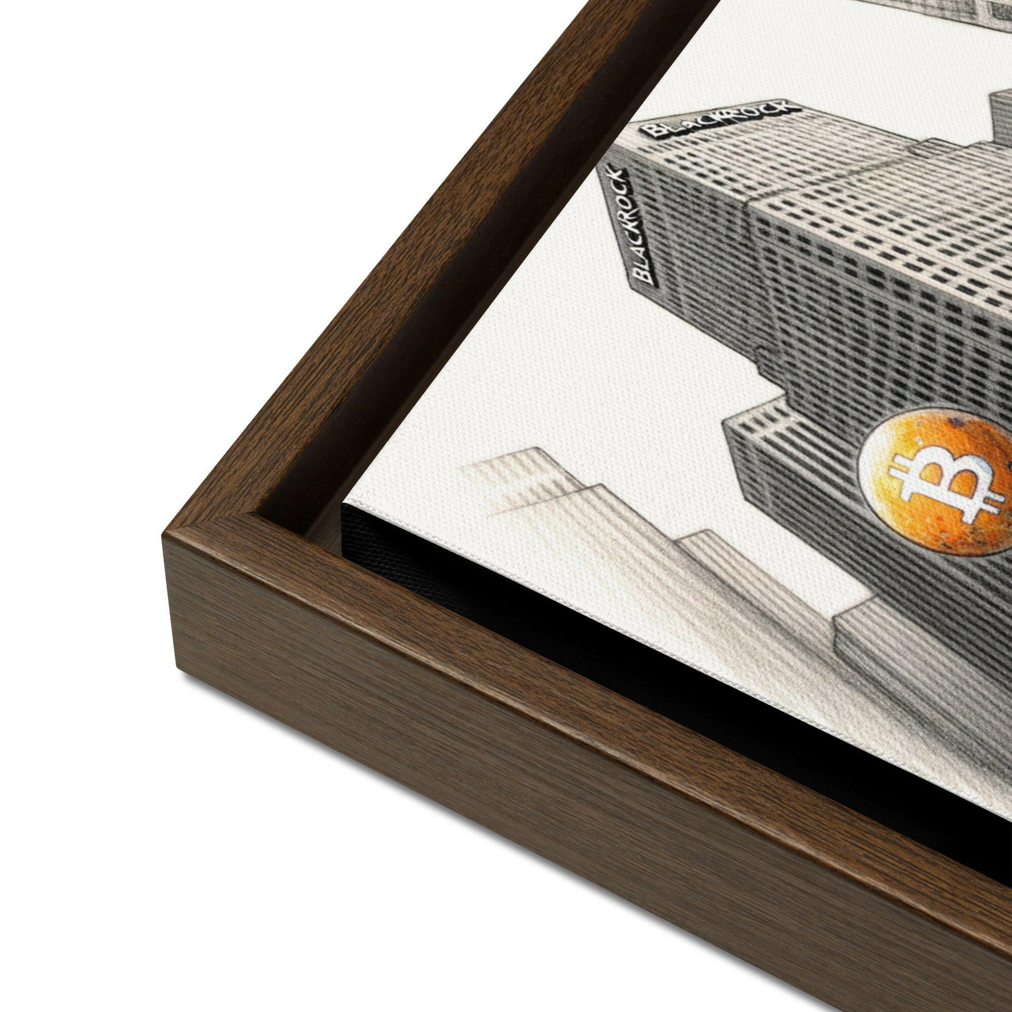 Bitcoin Art / The Unknown - Orange Habit Home - The Orange Habit