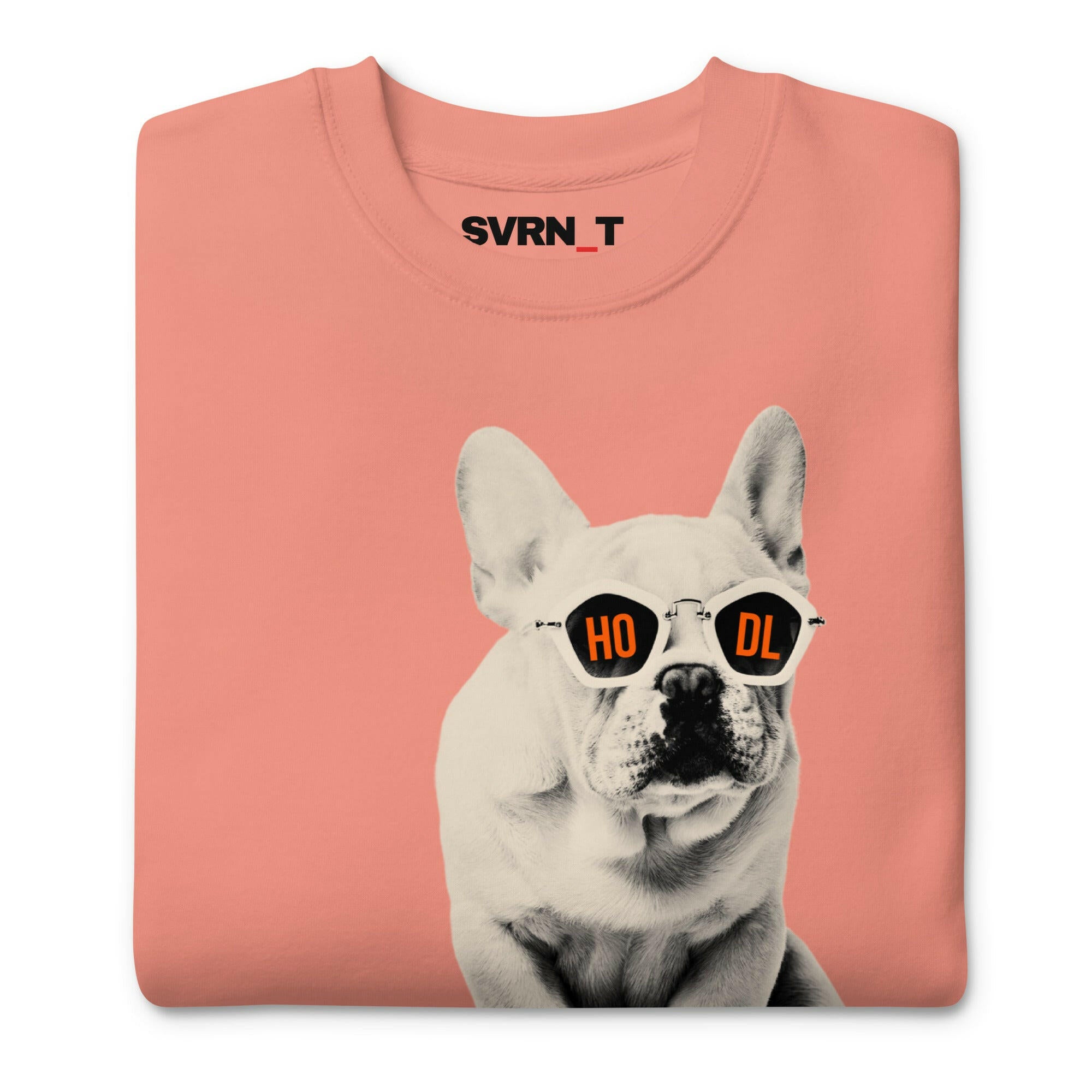 HODL DOG - Frenchie / Bitcoin Sweatshirt - SVRN_T - The Orange Habit