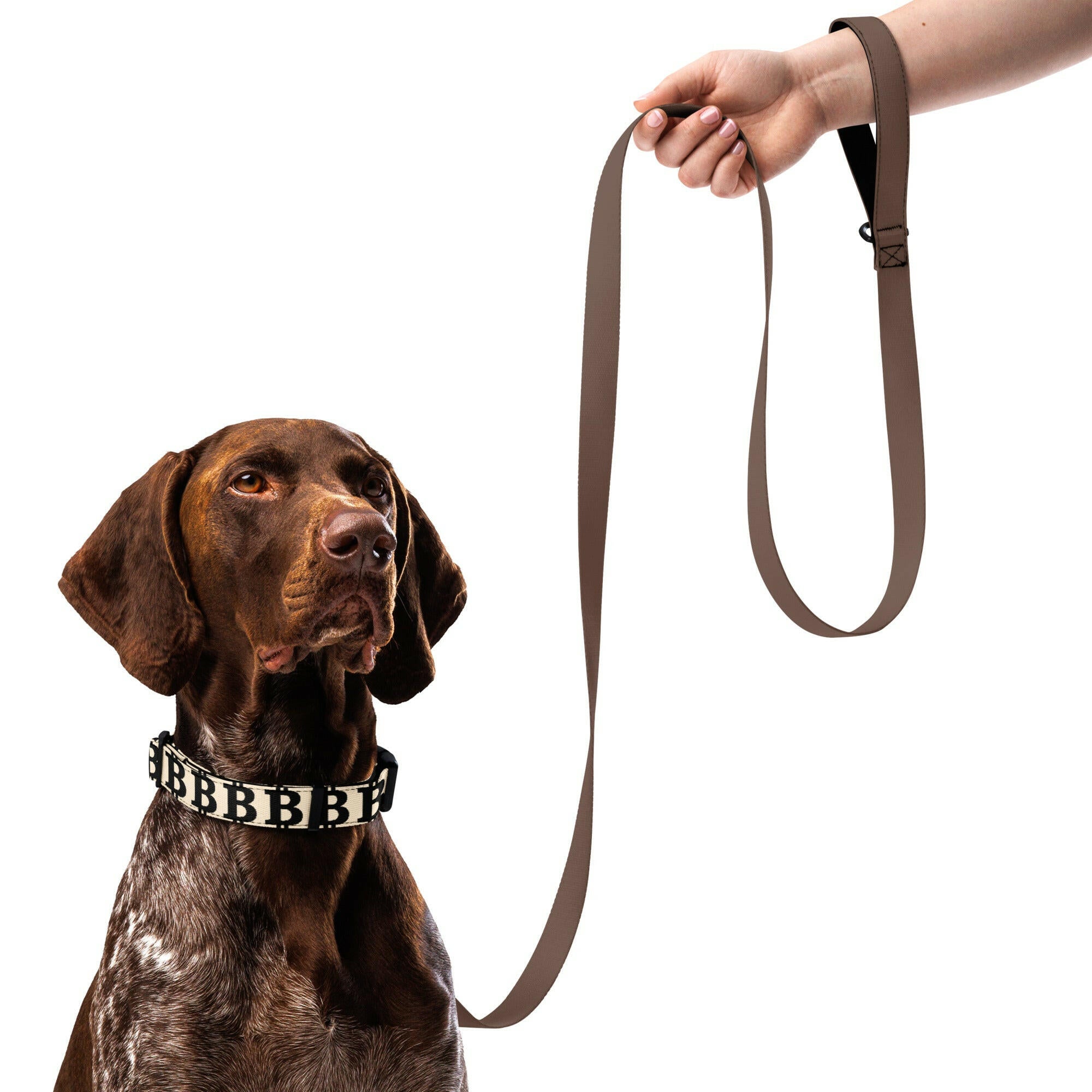 Bitcoin Pet Collar / The B - Maison Toshi - The Orange Habit