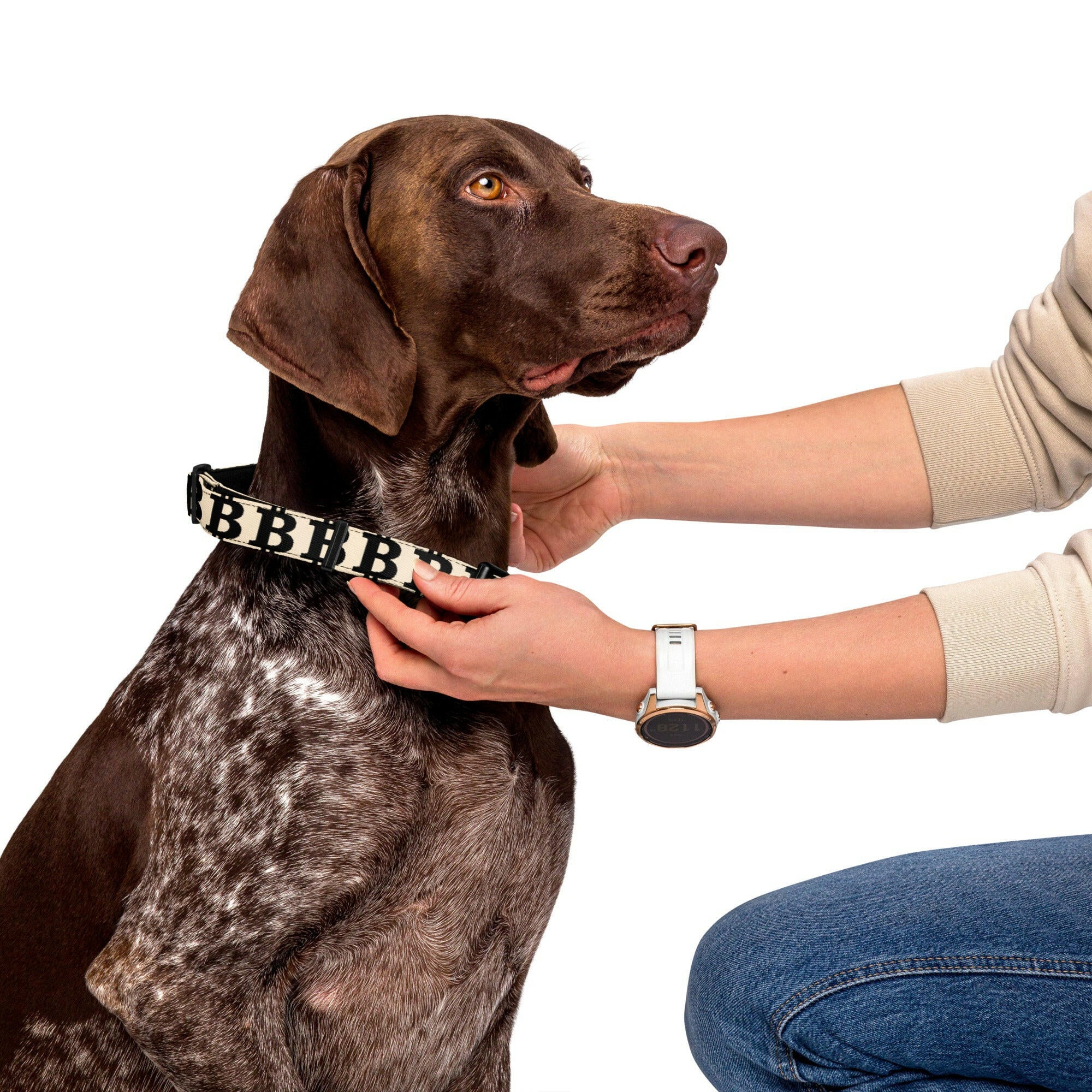 Bitcoin Pet Collar / The B - Maison Toshi - The Orange Habit