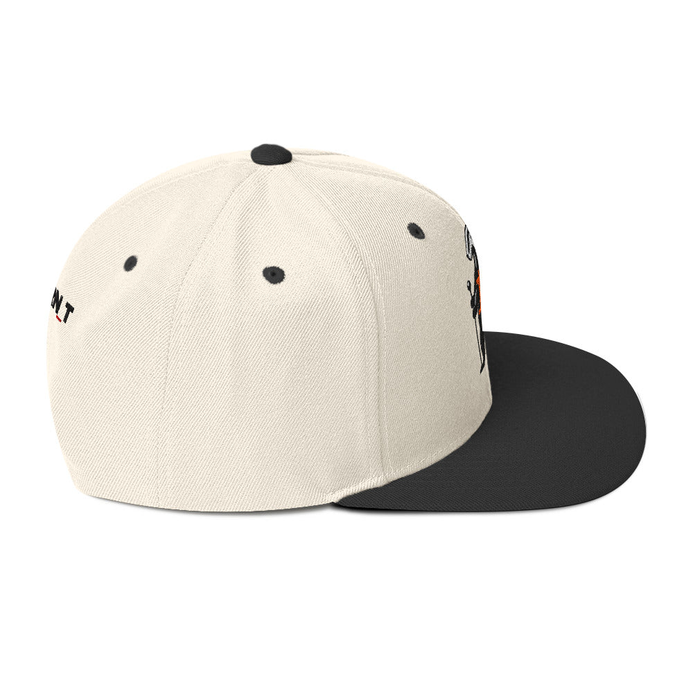 HONEY BADGER DGAF / Bitcoin Snapback Hat - SVRN_T Hats - The Orange Habit